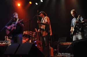 birddogs1